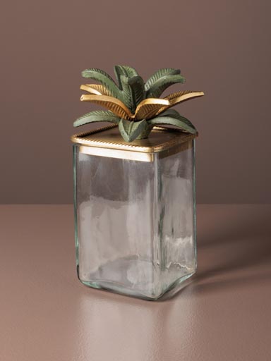Medium box Palmas