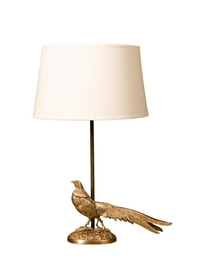 Lamp proud pheasant - 2