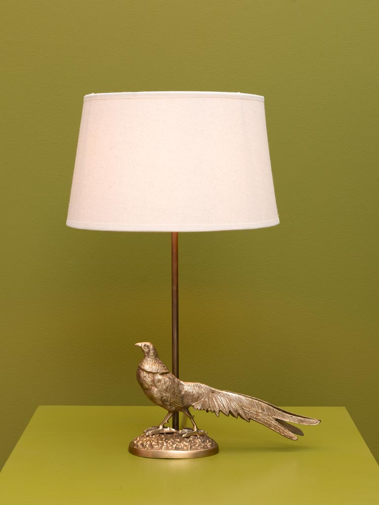 Lamp proud pheasant - 3
