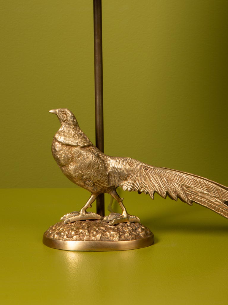 Lamp proud pheasant - 4