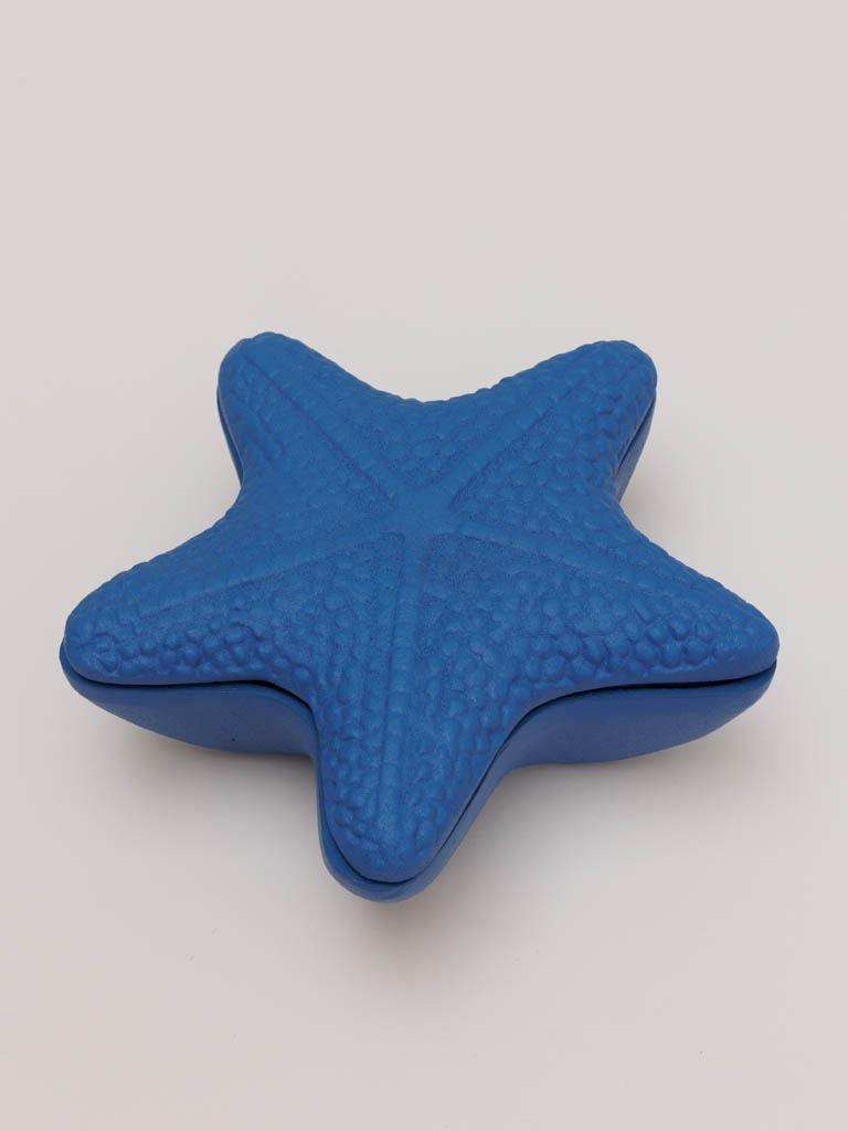 Blue box starfish - 1