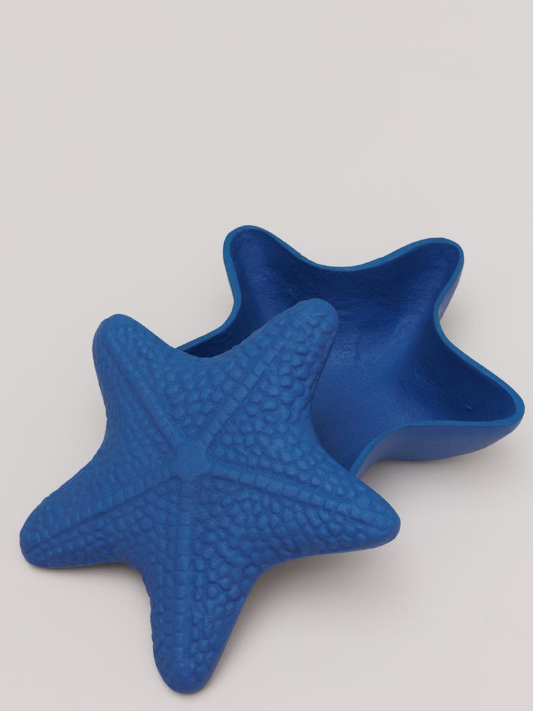 Blue box starfish - 3