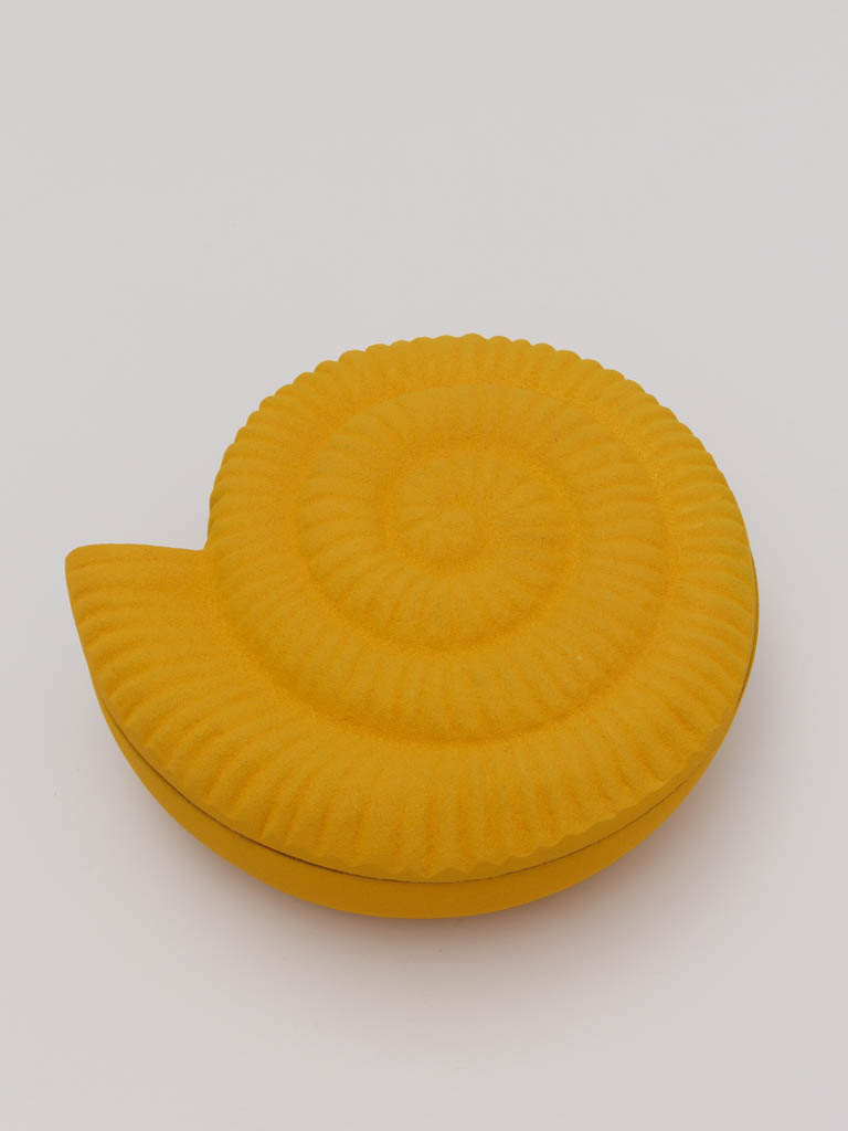 Yellow shell box - 1