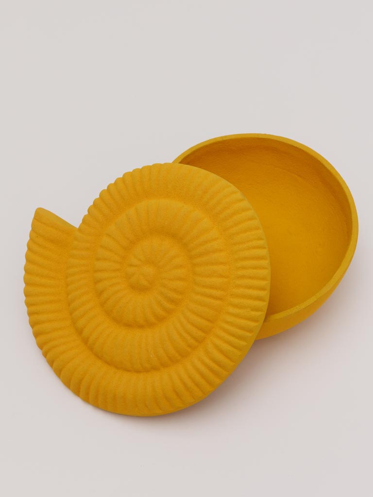 Yellow shell box - 3