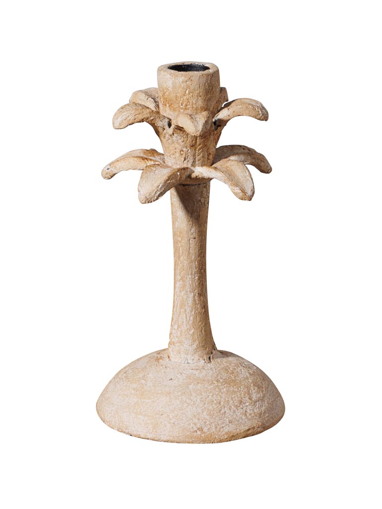 Small candlestick Palm - 2