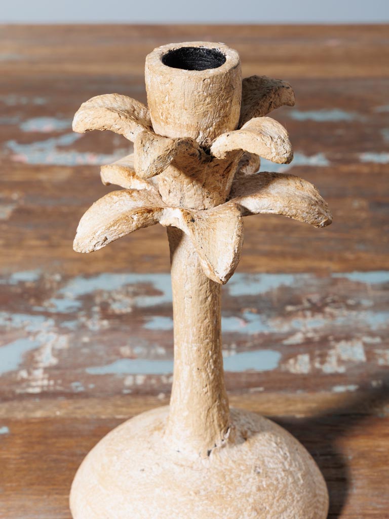 Small candlestick Palm - 3
