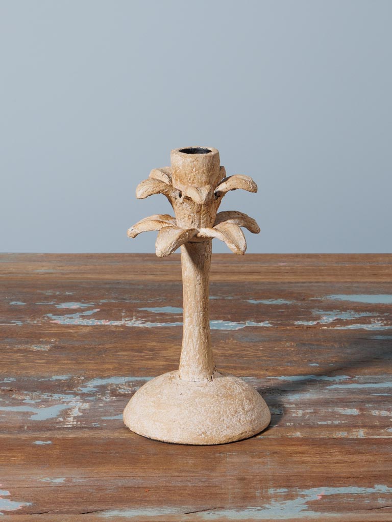 Small candlestick Palm - 5