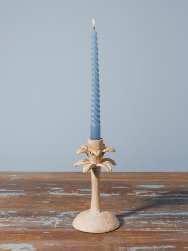 Small candlestick Palm