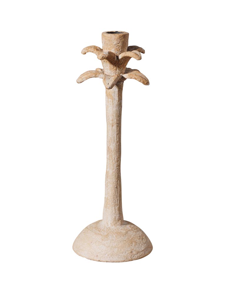 Candlestick Palm - 2