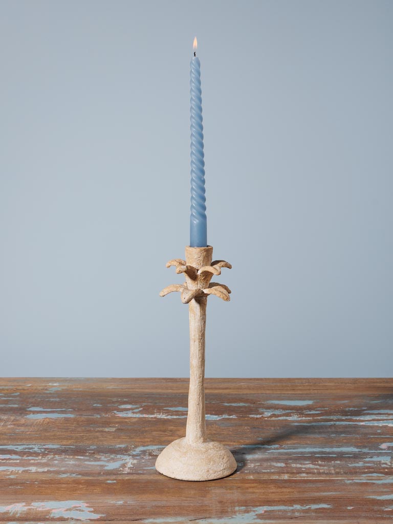 Candlestick Palm - 1