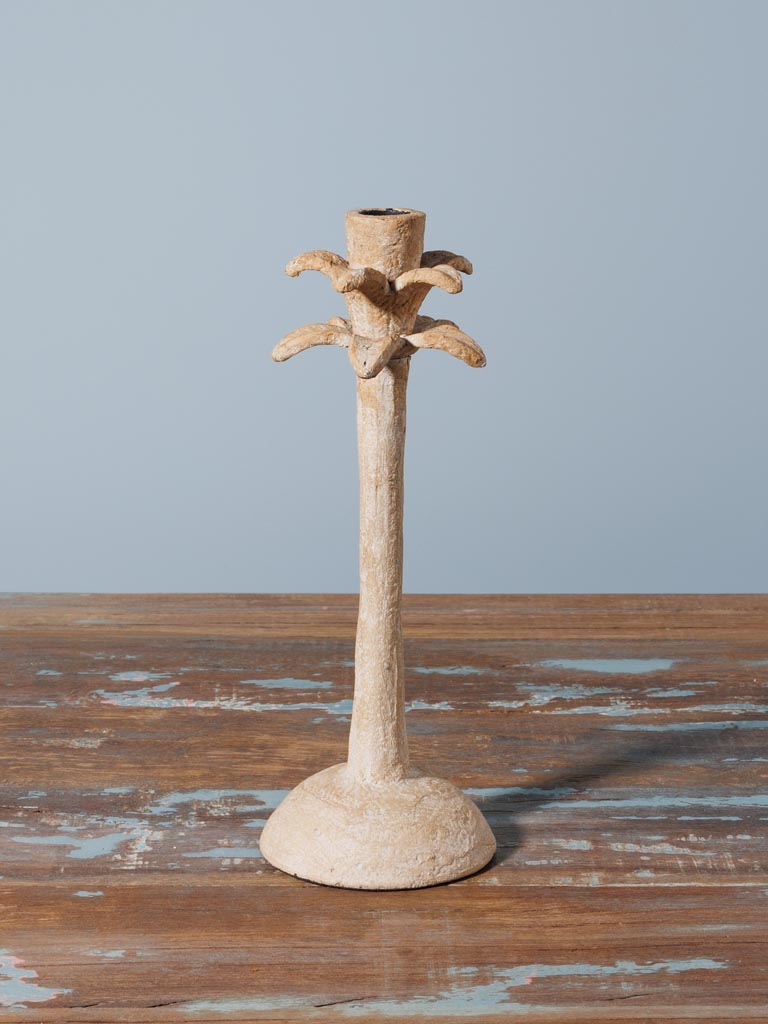 Candlestick Palm - 3