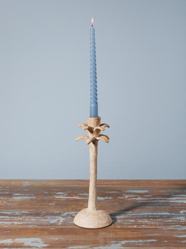 Candlestick Palm