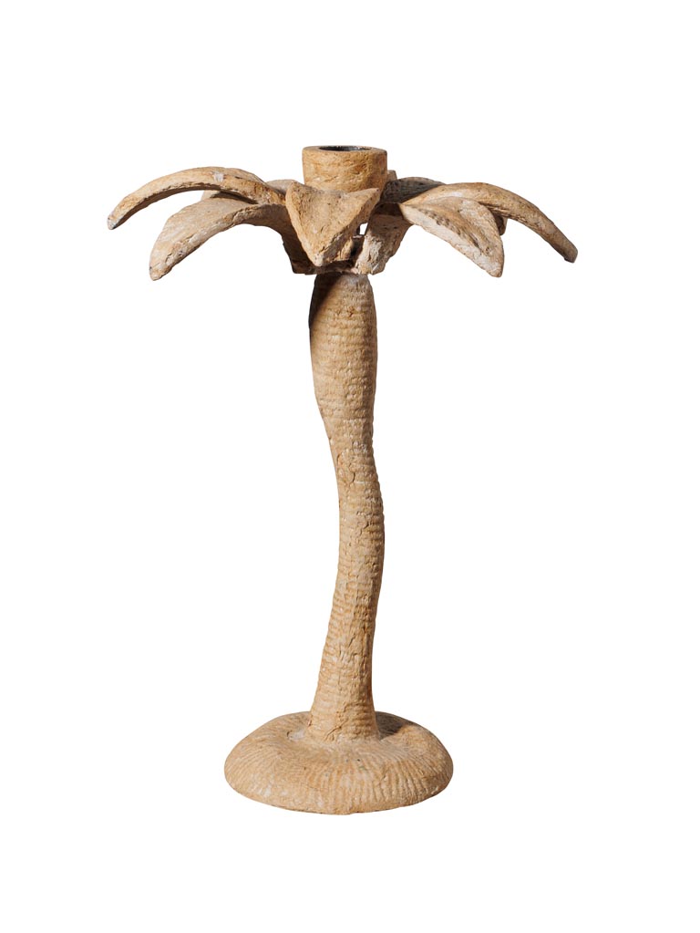 Large candlestick Palm - 2