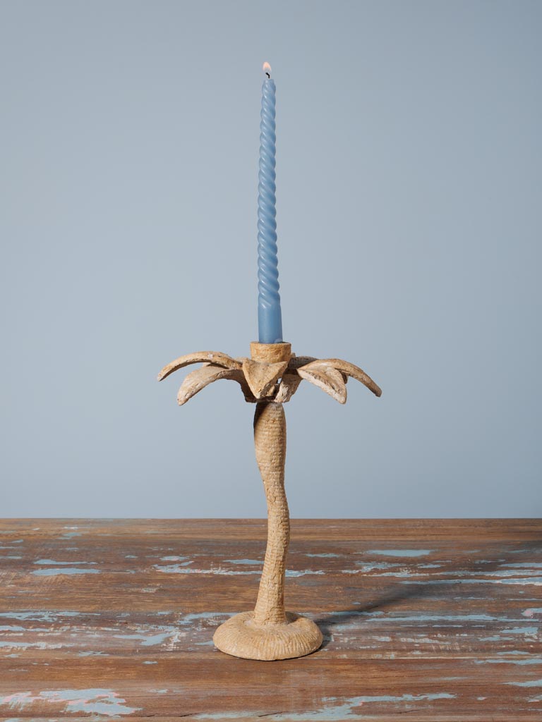 Large candlestick Palm - 1