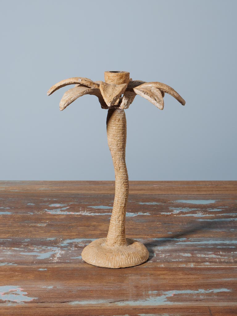 Large candlestick Palm - 3
