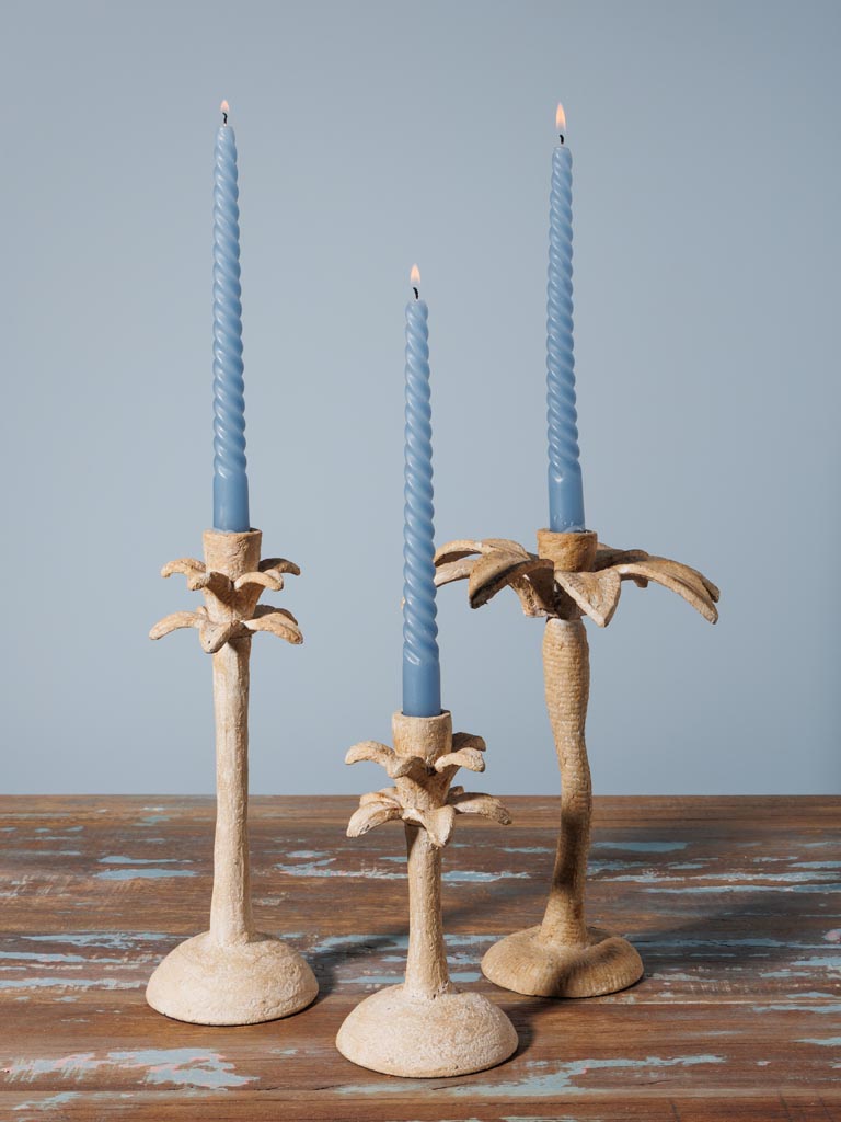 Large candlestick Palm - 5