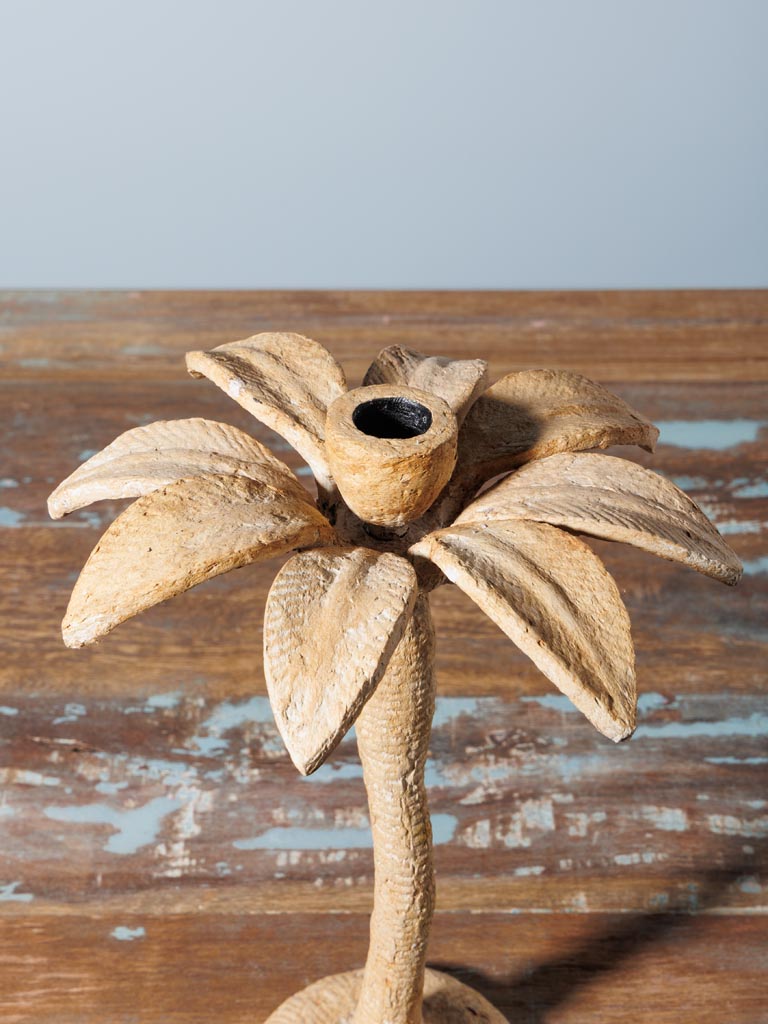Large candlestick Palm - 4