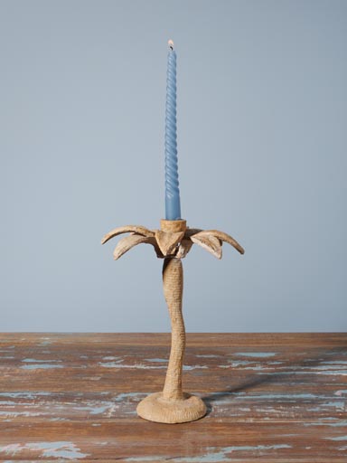 Large candlestick Palm
