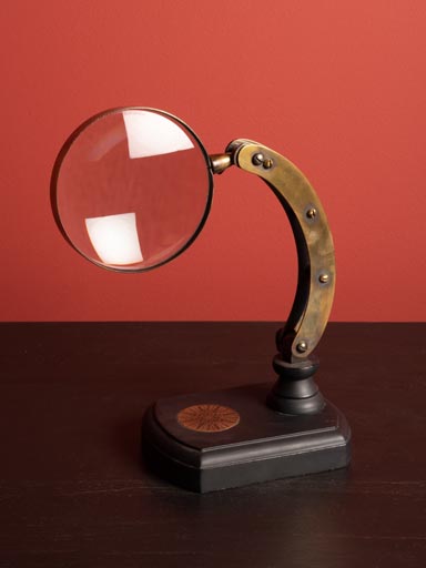 Magnifier on curved stand