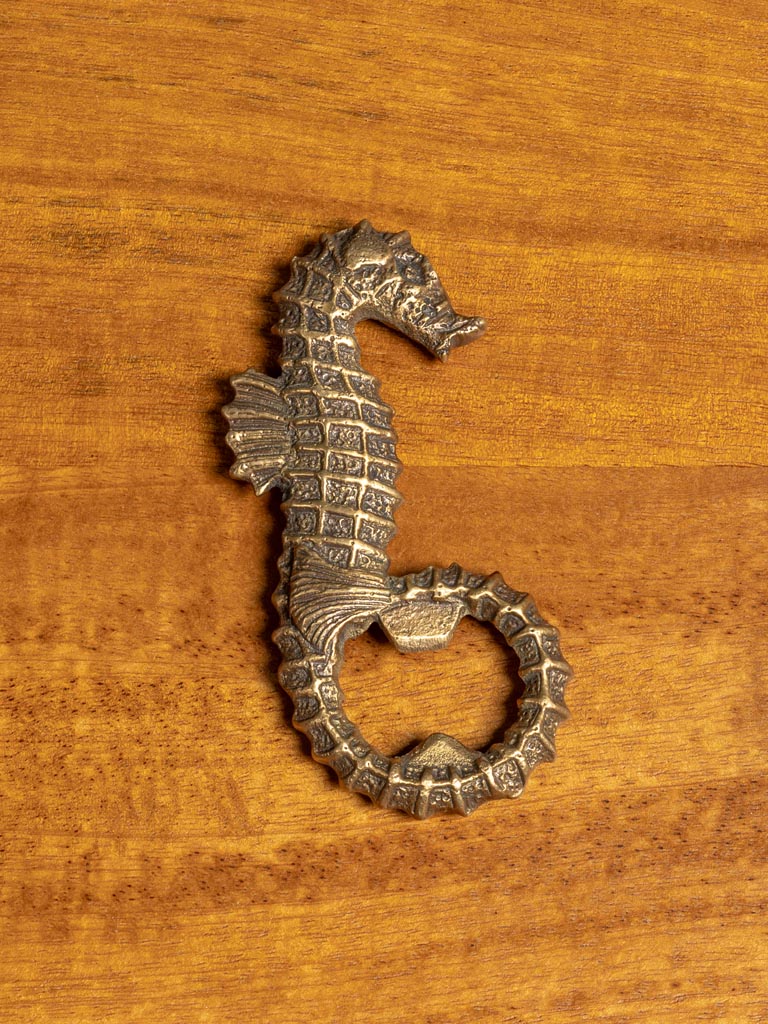 Seahorse bottle opener - 1
