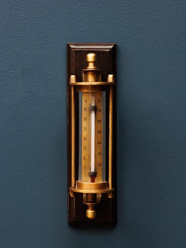 Wall thermometer Magellan