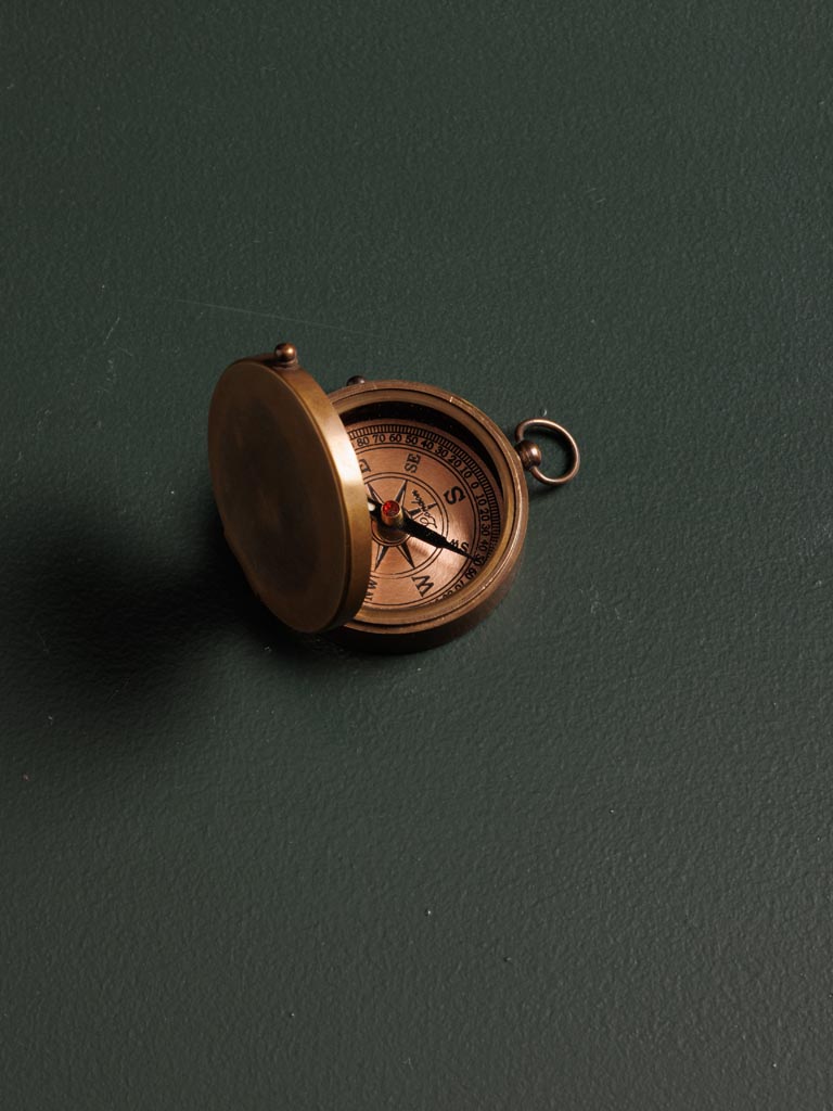 James Cook compass - 3
