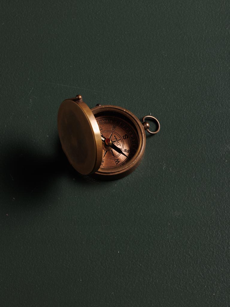 James Cook compass - 5