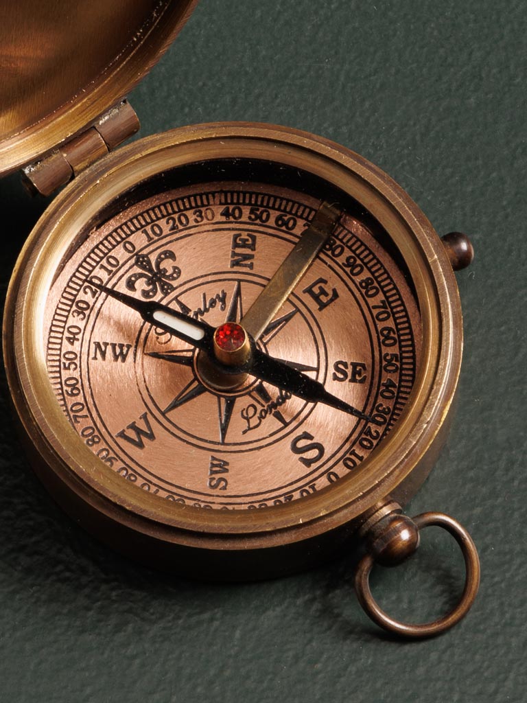 James Cook compass - 4