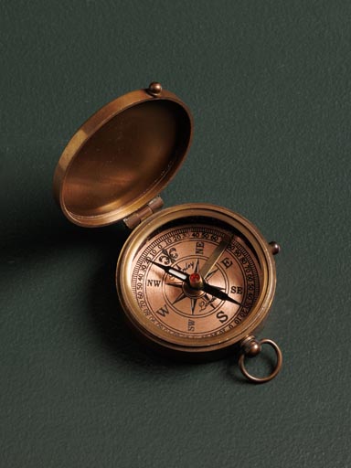 James Cook compass