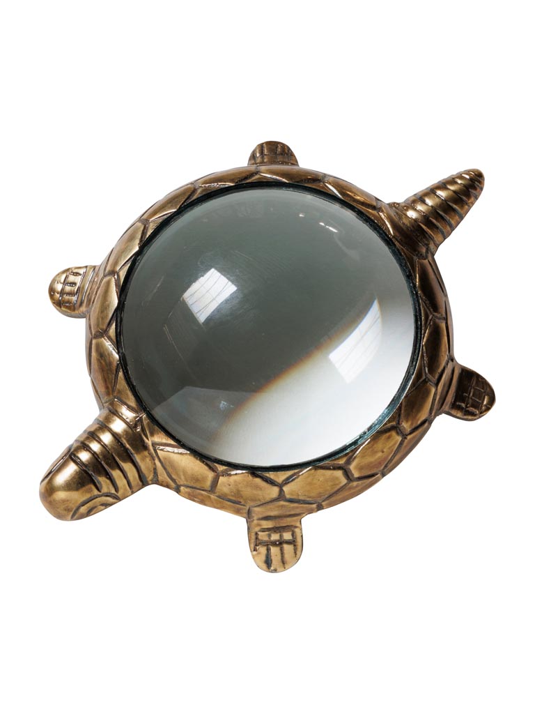 Silver turtle magnifier - 2