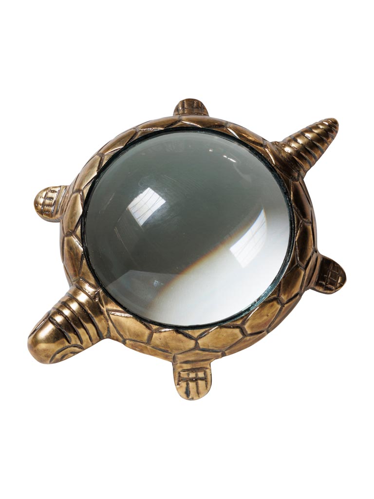 Golden turtle magnifier - 2