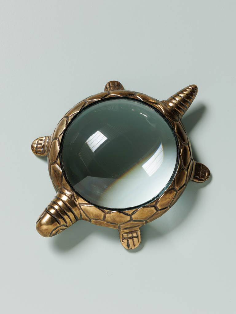 Silver turtle magnifier - 1