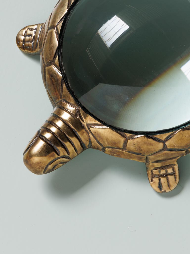 Golden turtle magnifier - 3