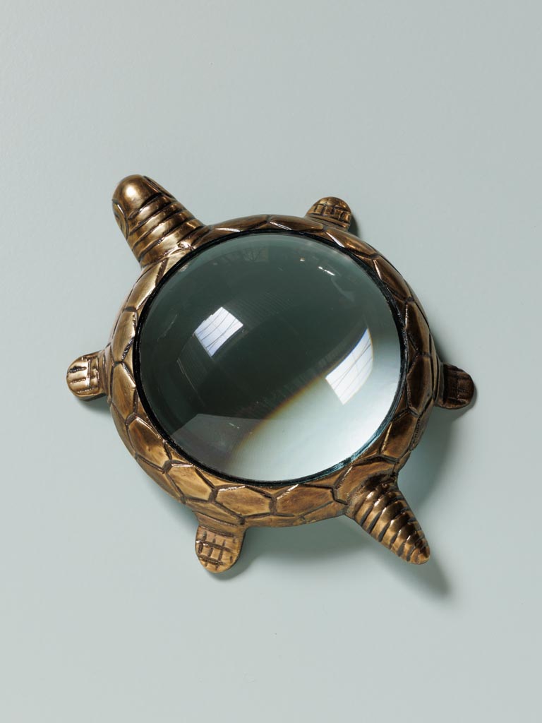 Golden turtle magnifier - 4
