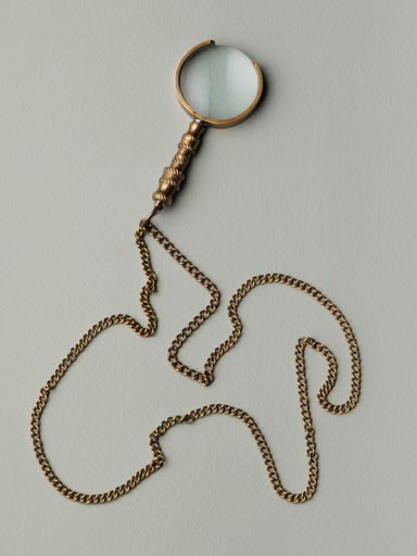 Holmes hand magnifier