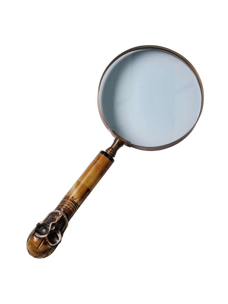 Magnifier Sparrow - 2
