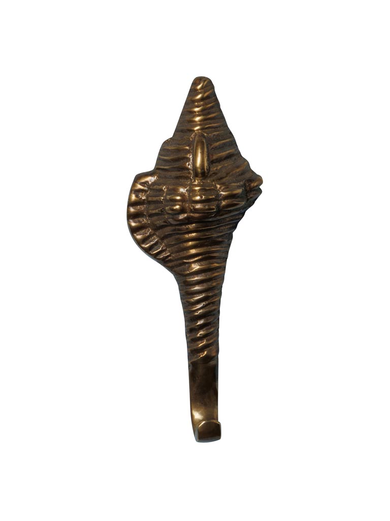 Hook golden shell - 2