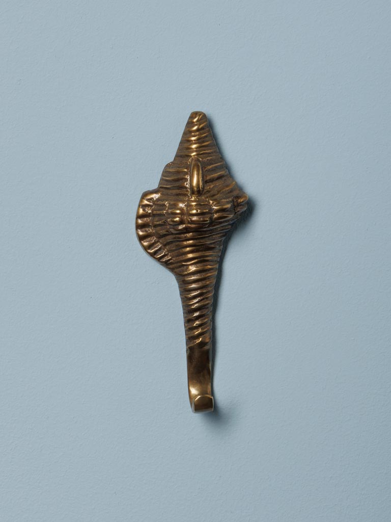 Hook golden shell - 1
