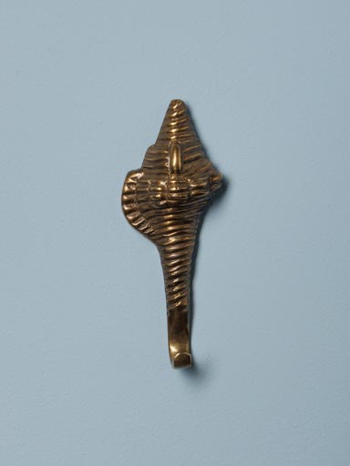 Hook golden shell