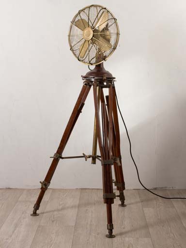 Tripod stand fan (food switch)