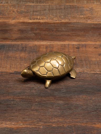 Golden turtle bottle opener