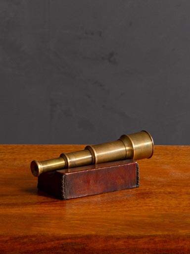 Brass telescope on leather stand
