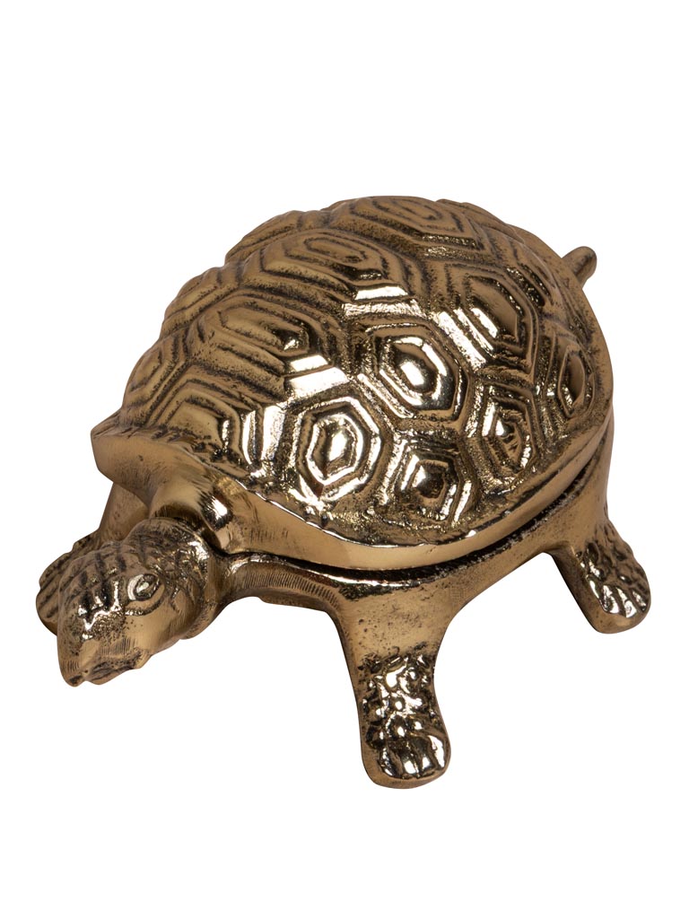 Boîte tortue dorée - 2