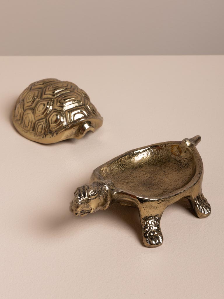 Boîte tortue dorée - 3