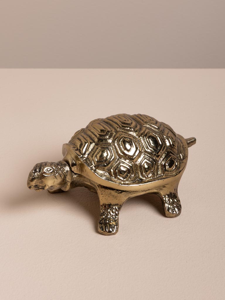 Boîte tortue dorée - 5
