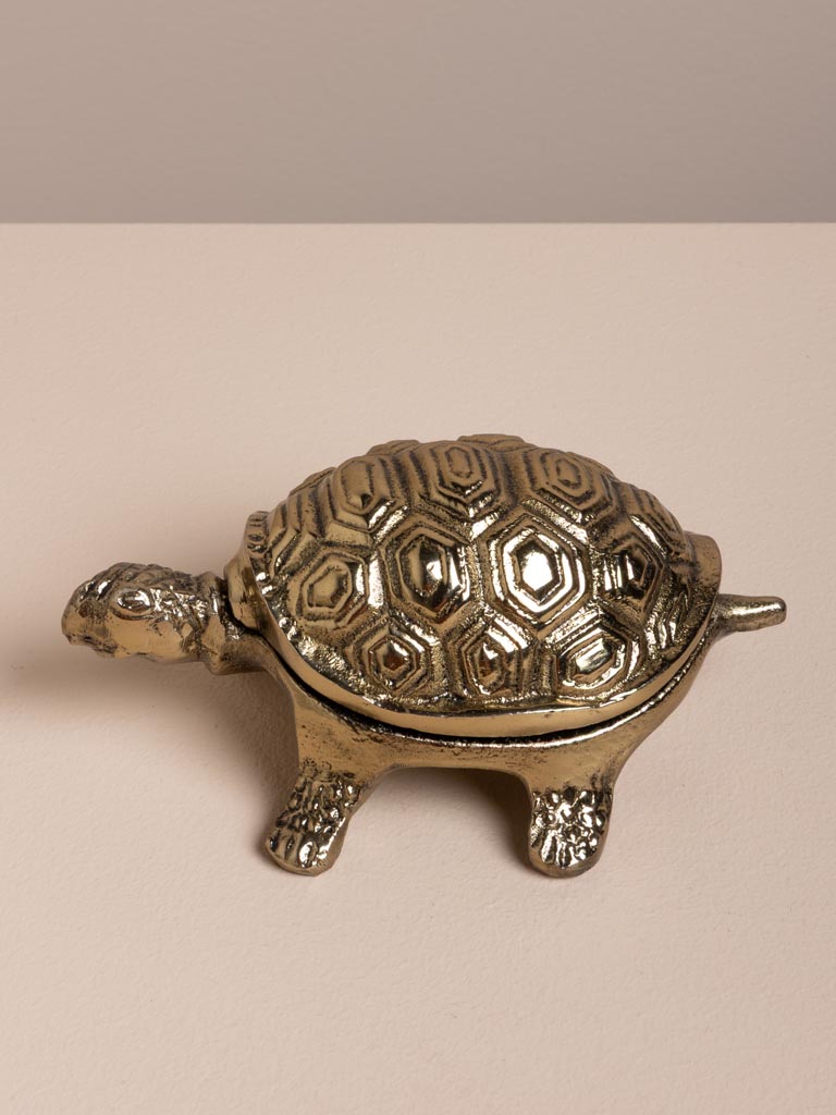 Boîte tortue dorée - 4