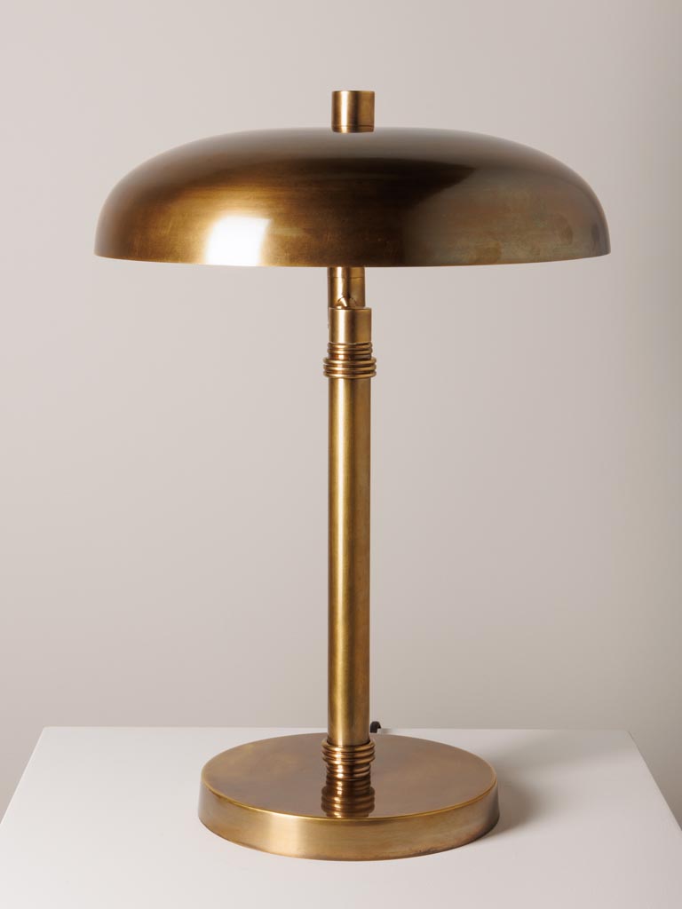 Desk lamp with swinging arm Specimen - 5