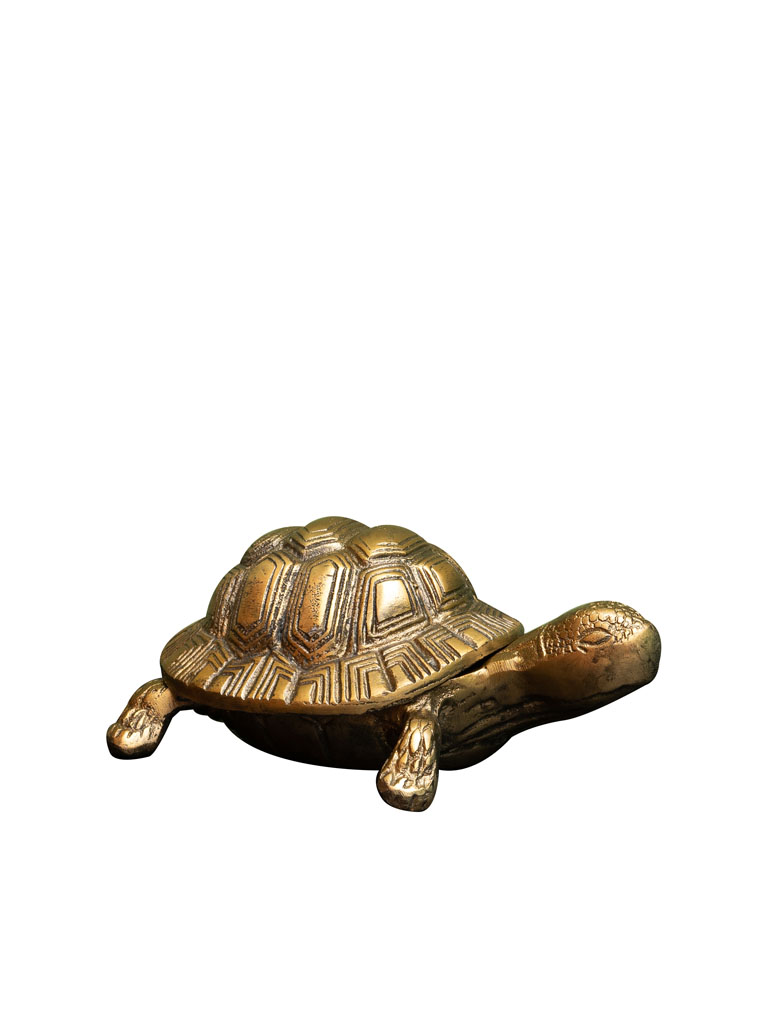 Golden turtle box - 2