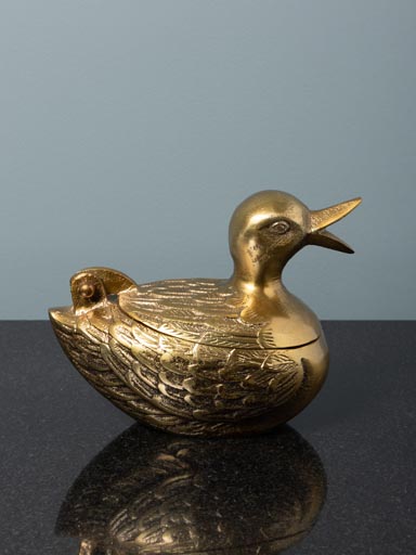 Boîte canard