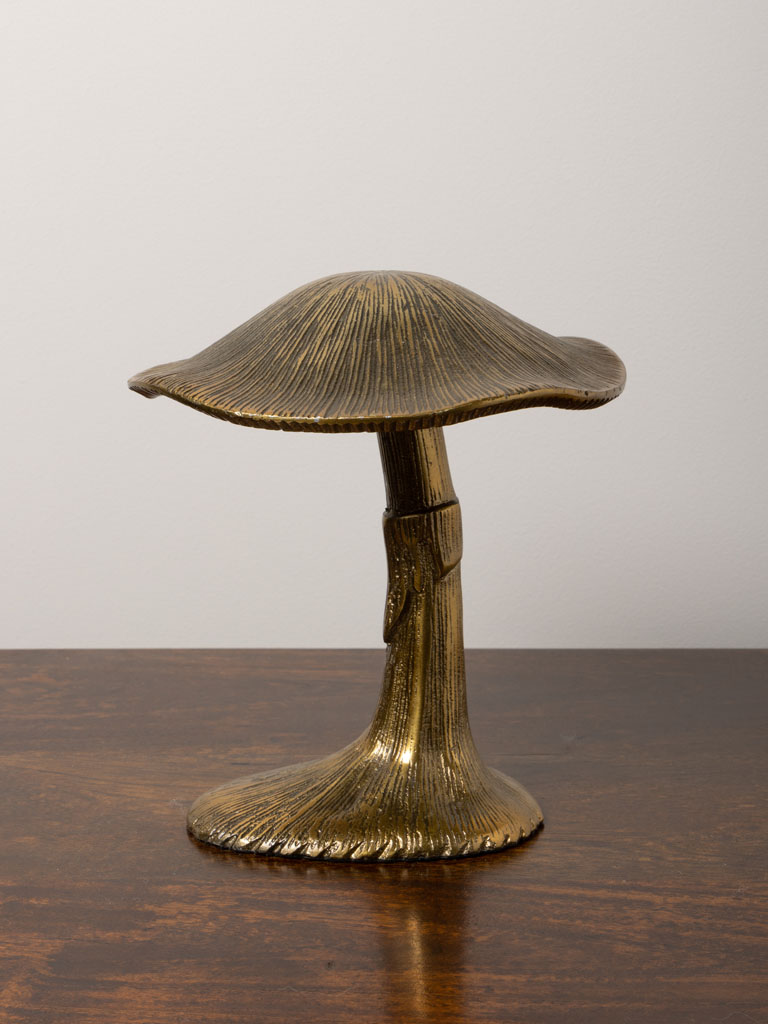 Champignon doré - 1